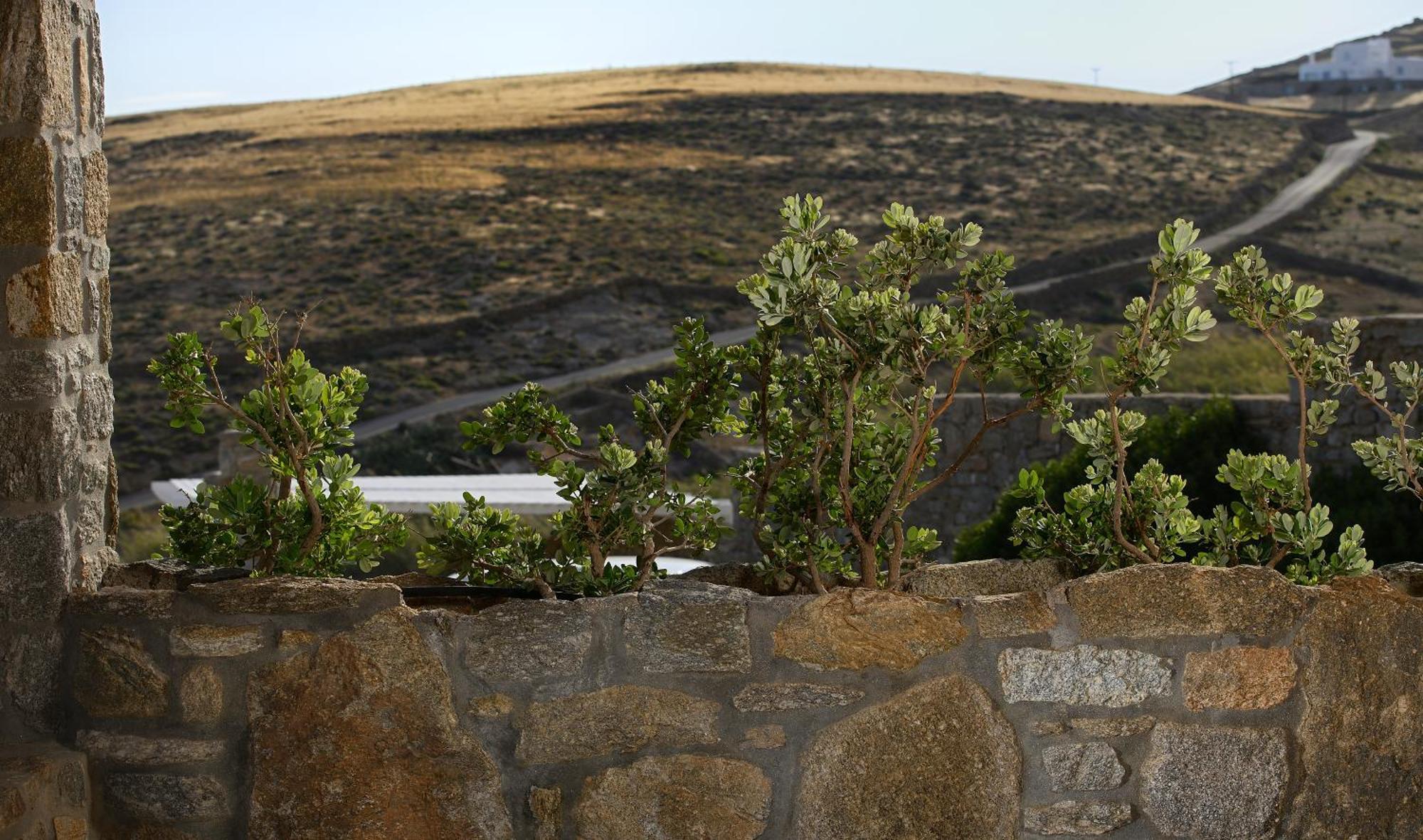 Vlia Mykonos Leilighet Kalafatis Eksteriør bilde